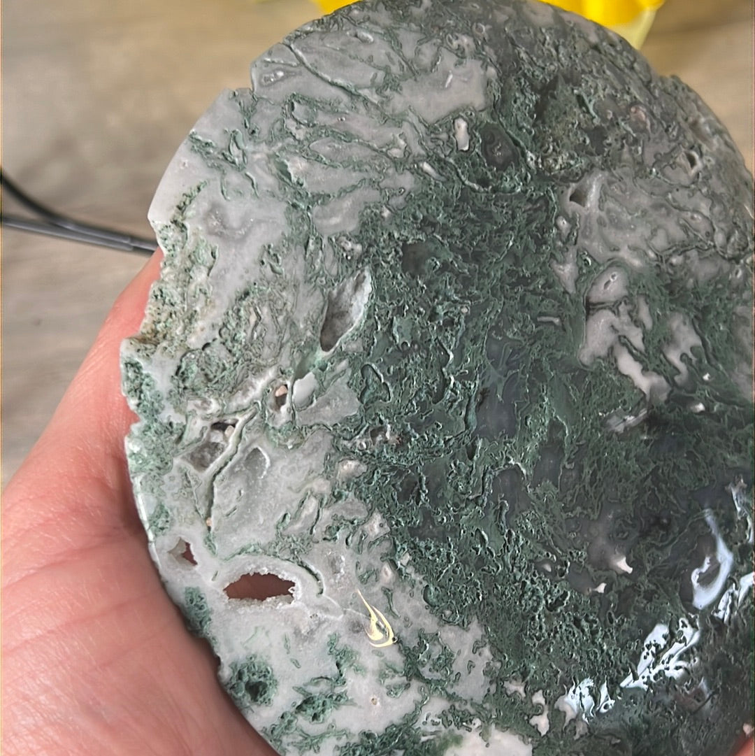 Moss Agate Druzy Disc Cookie