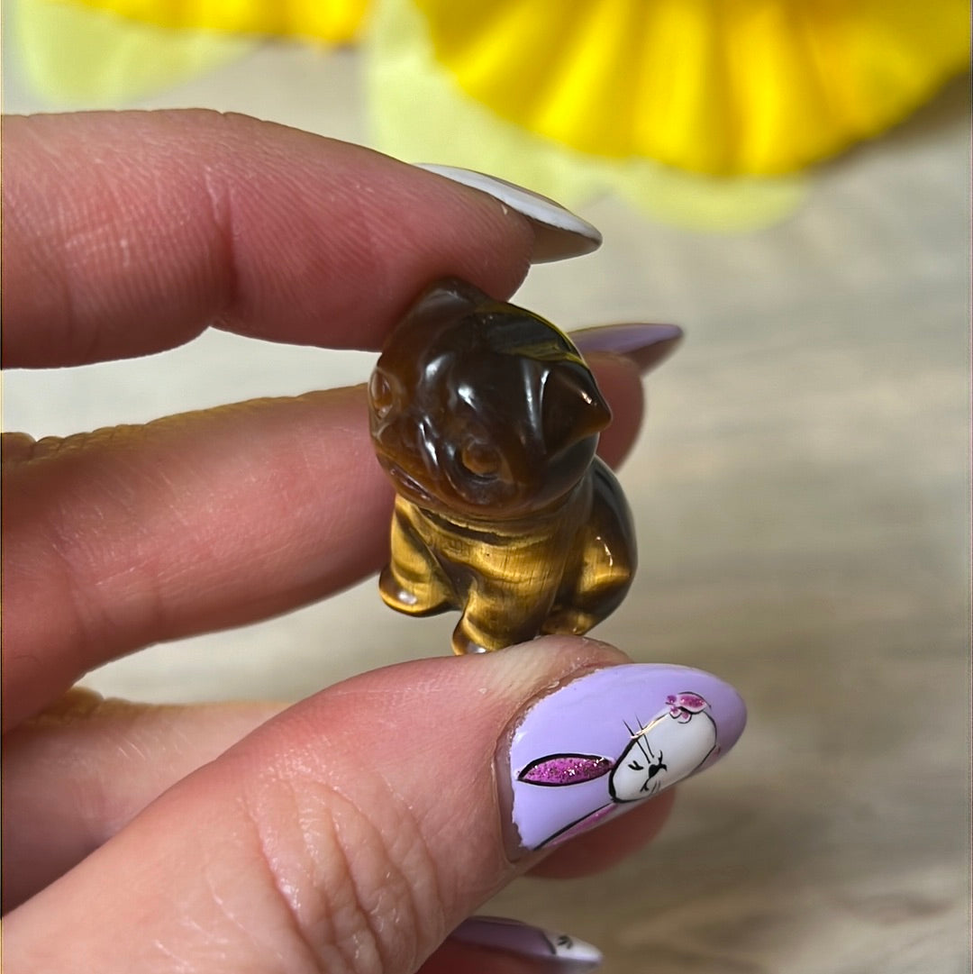 Tigers eye dog / pug