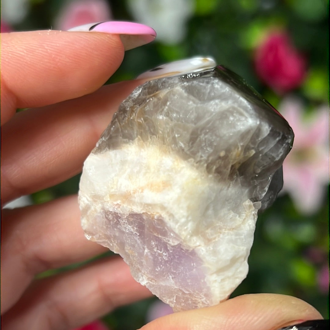 Root of Transformation