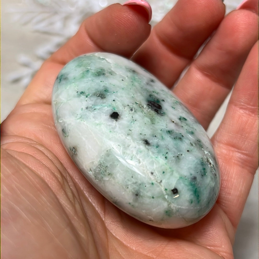 Phoenix Pine Fynechenite Palm