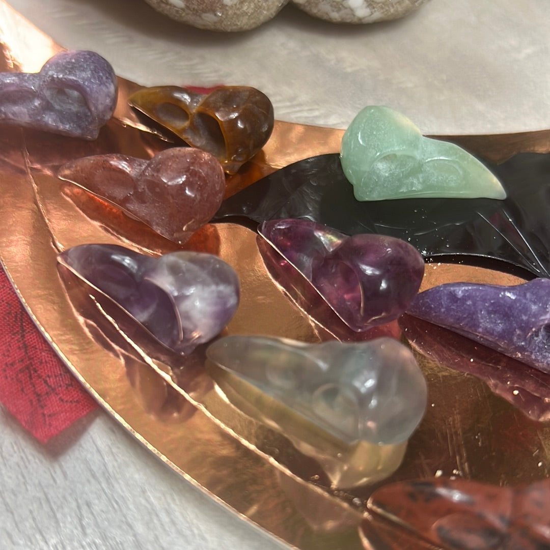 Mystery Baby Skull - Bird Crow Raven