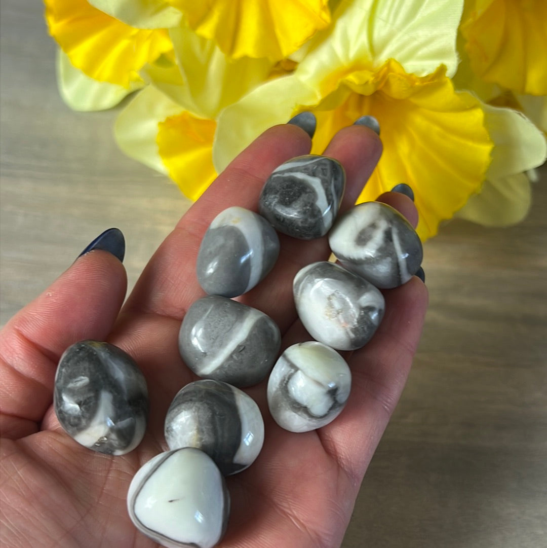 Thousand Eye / Shell Jasper Tumble Tumblestone