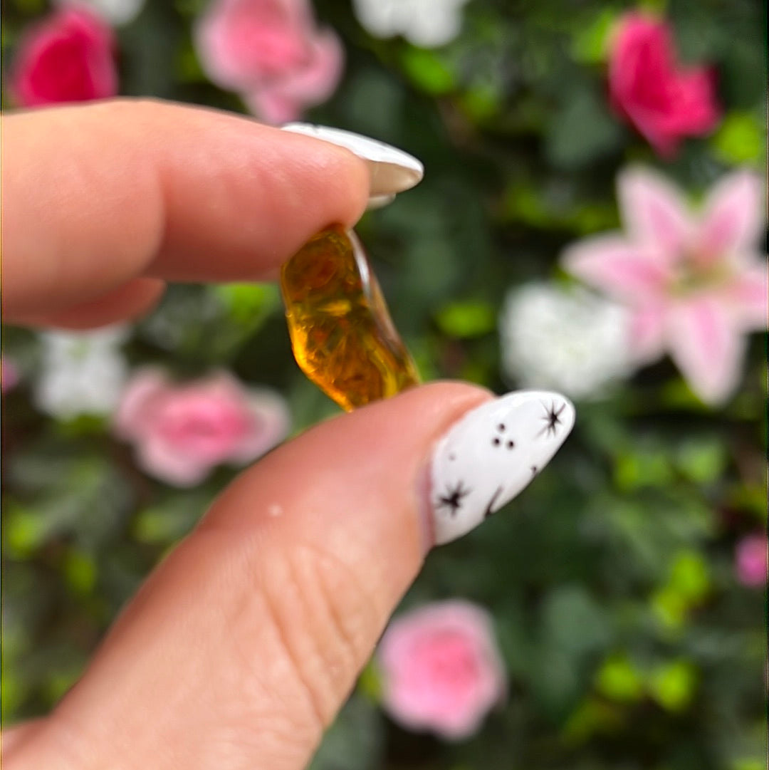 Amber Insect Specimen