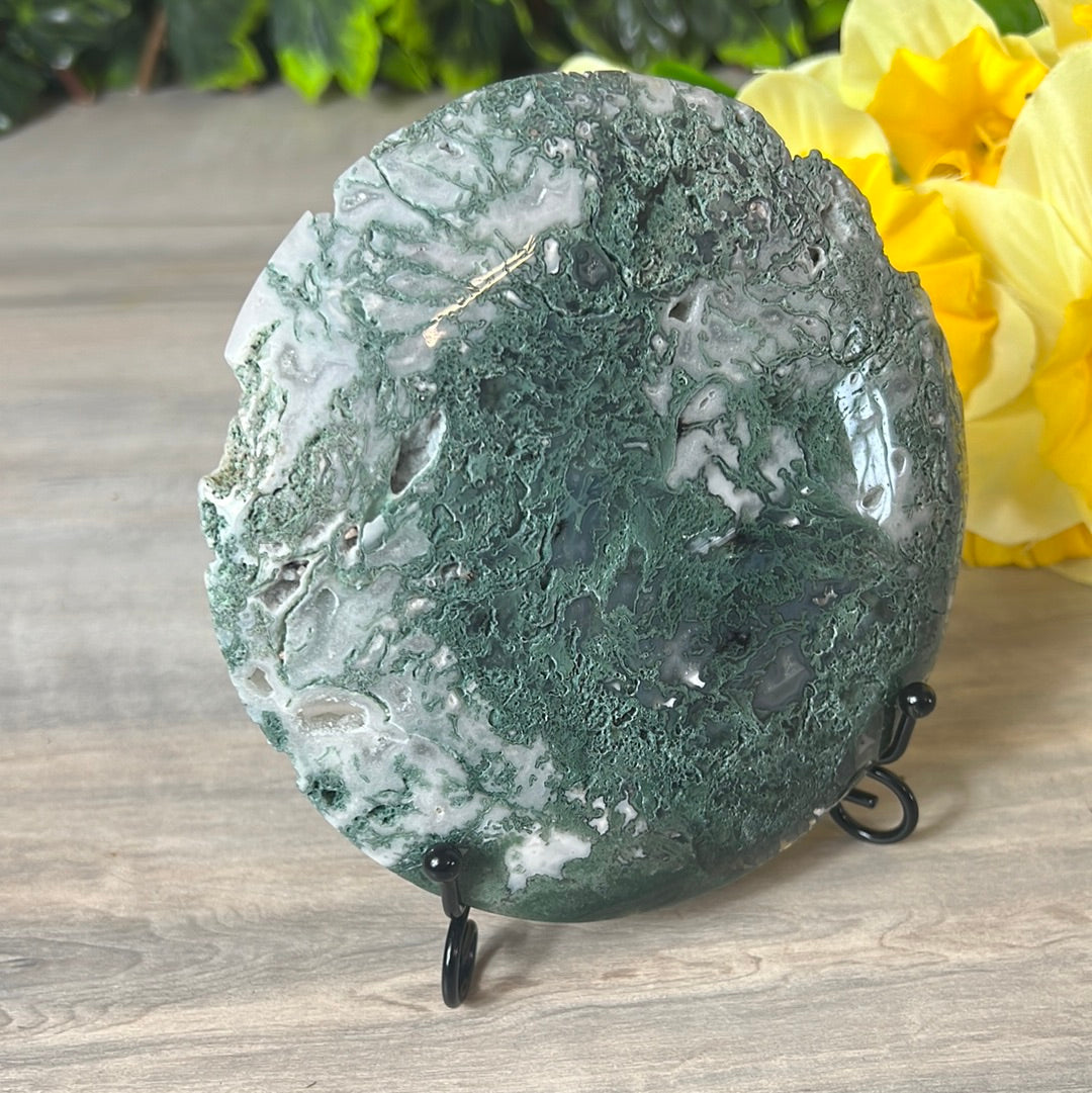 Moss Agate Druzy Disc Cookie