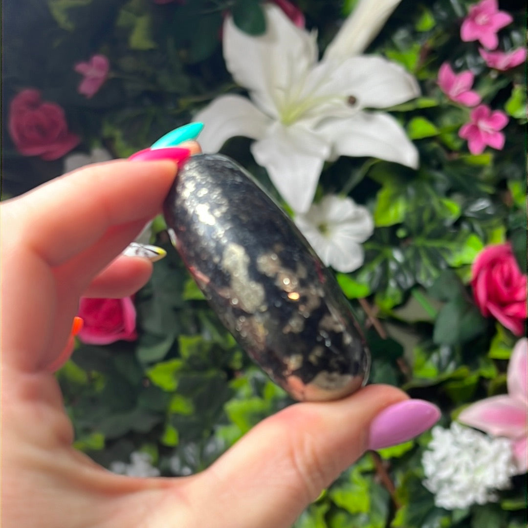 African Pyrite Palm - fools gold