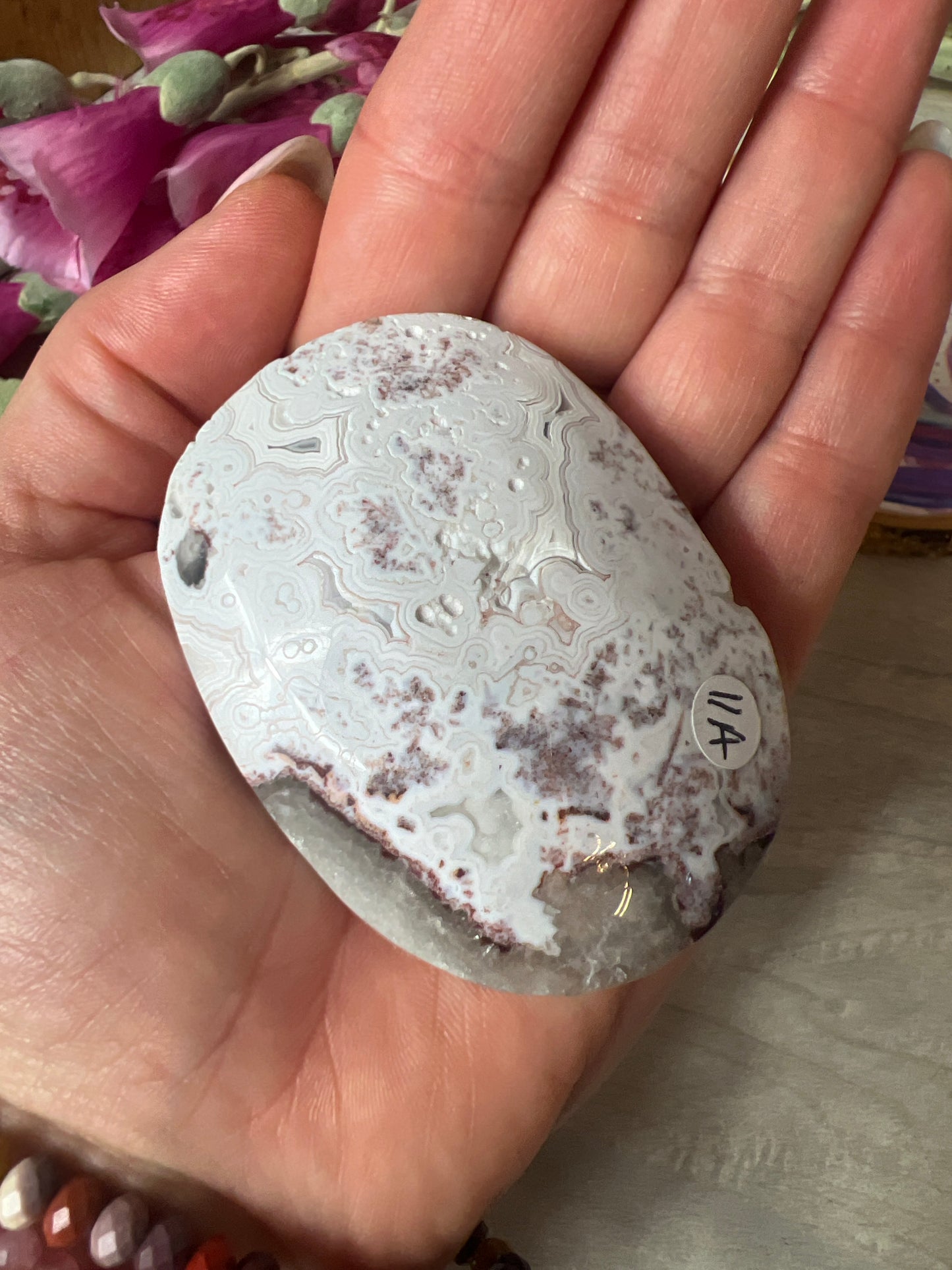 Mexican Crazy Agate Palm