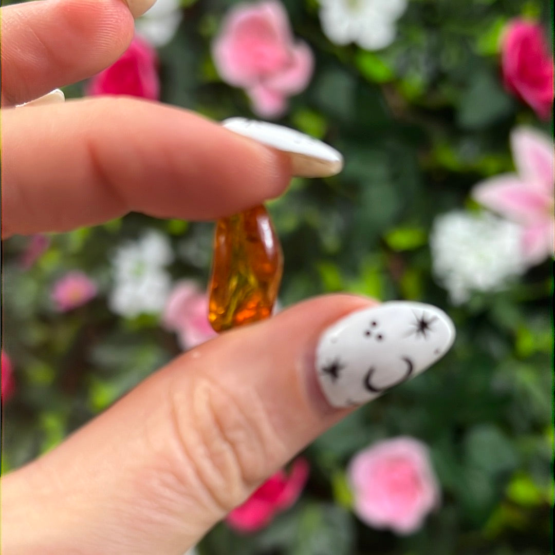 Amber Insect Specimen