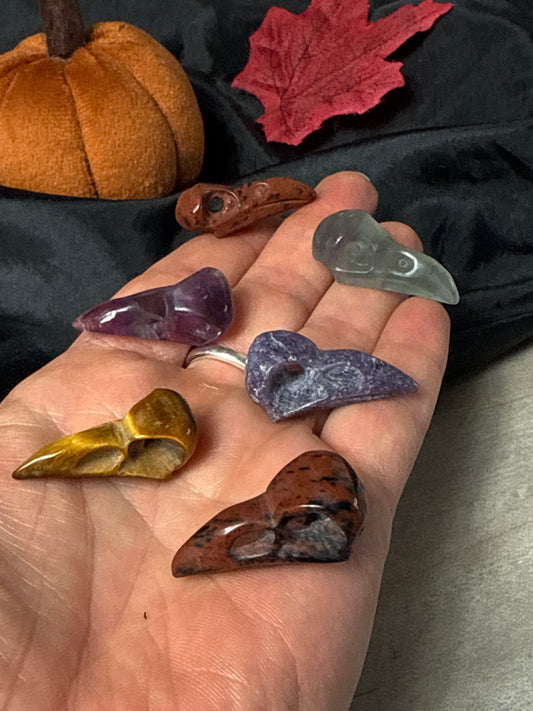 Baby Skull - Bird Crow Raven