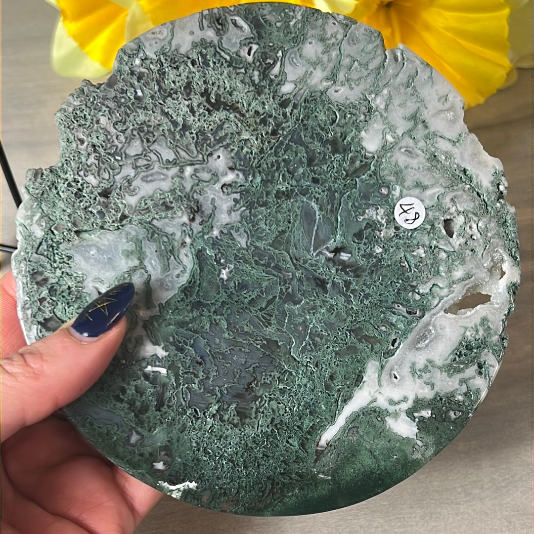 Moss Agate Druzy Disc Cookie