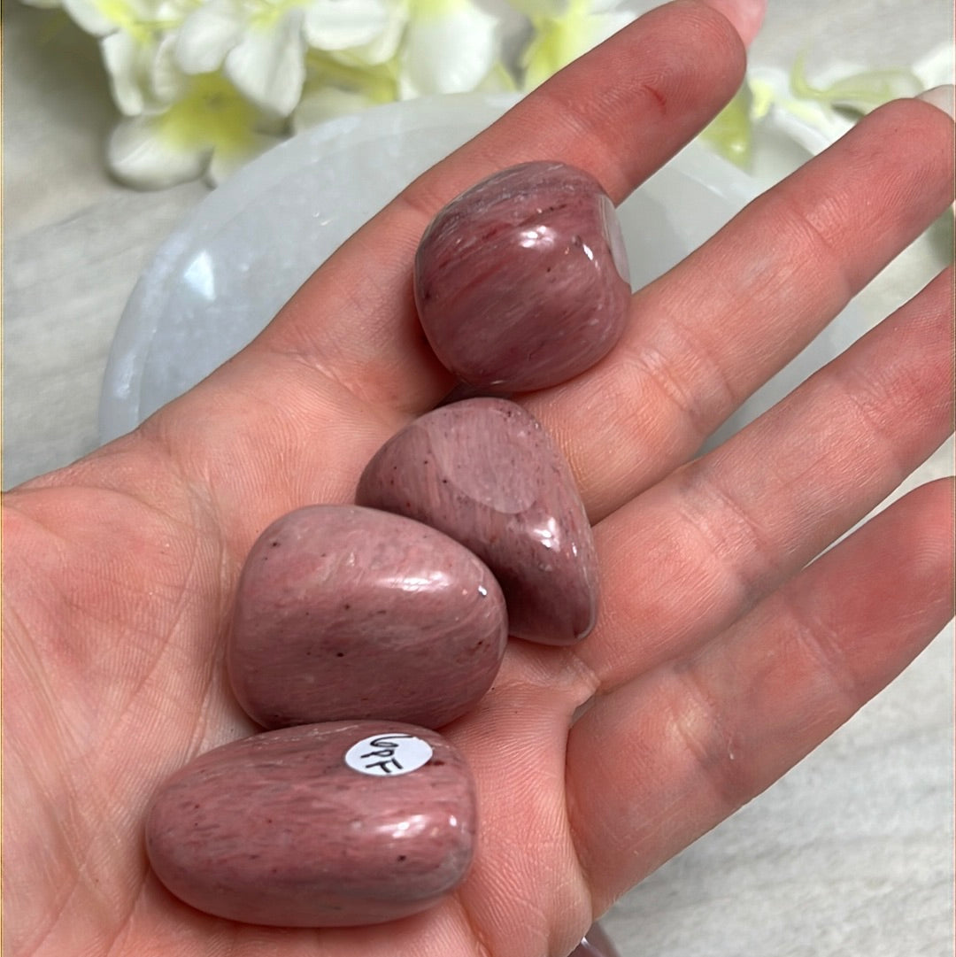 Pink Petrified Fossil Wood Tumble Tumblestone