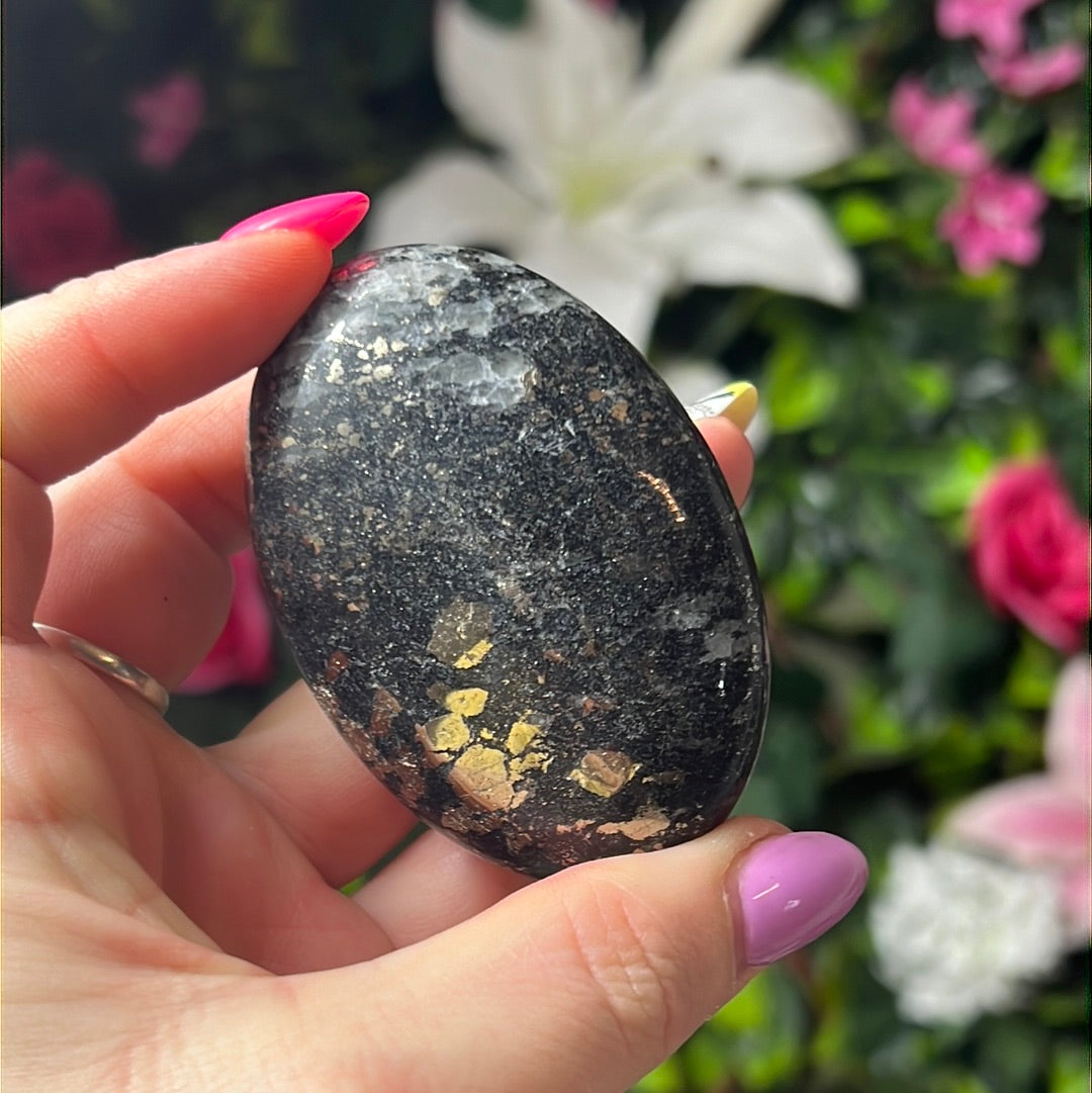 African Pyrite Palm - fools gold