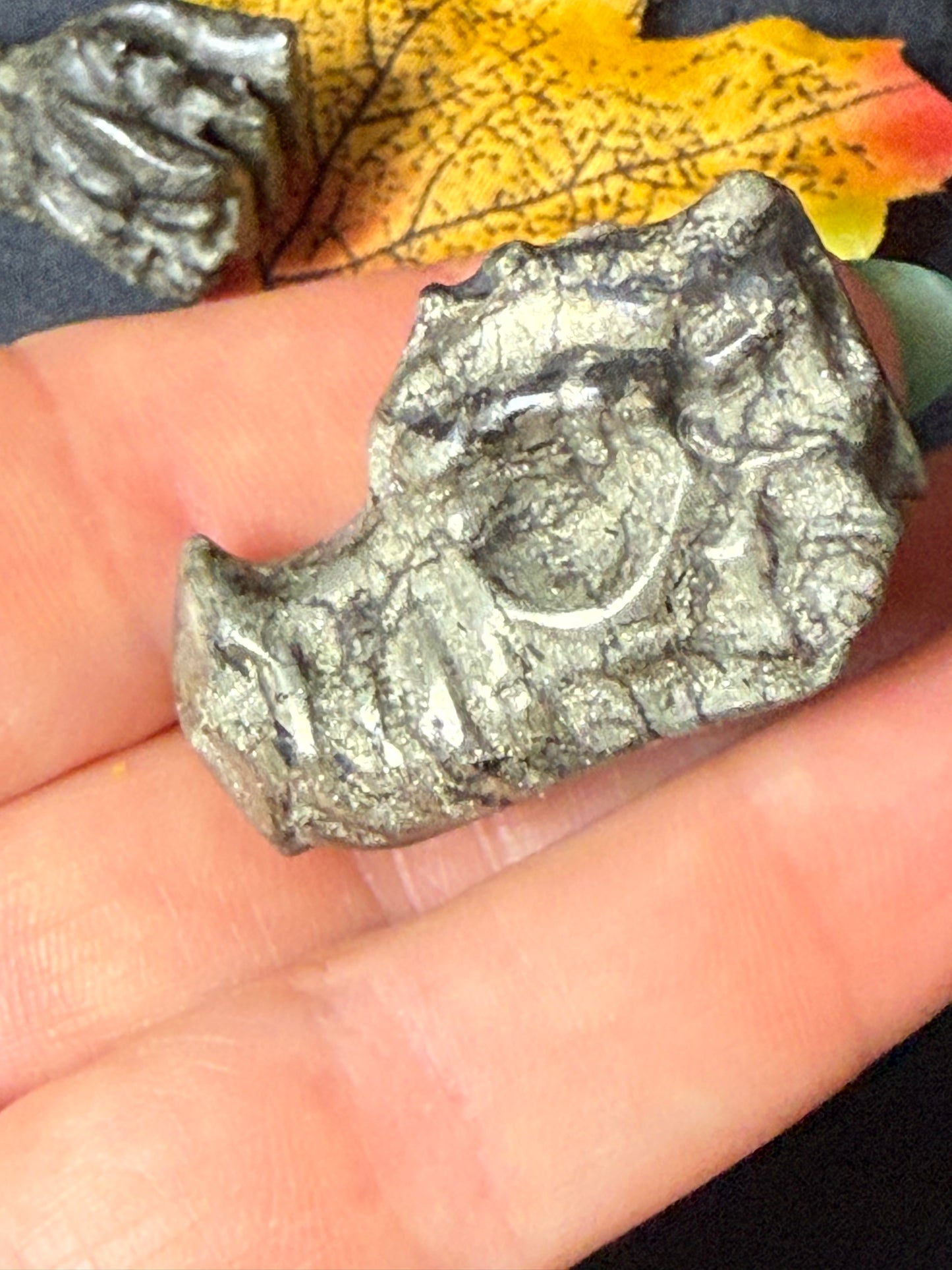 Pyrite Dragon
