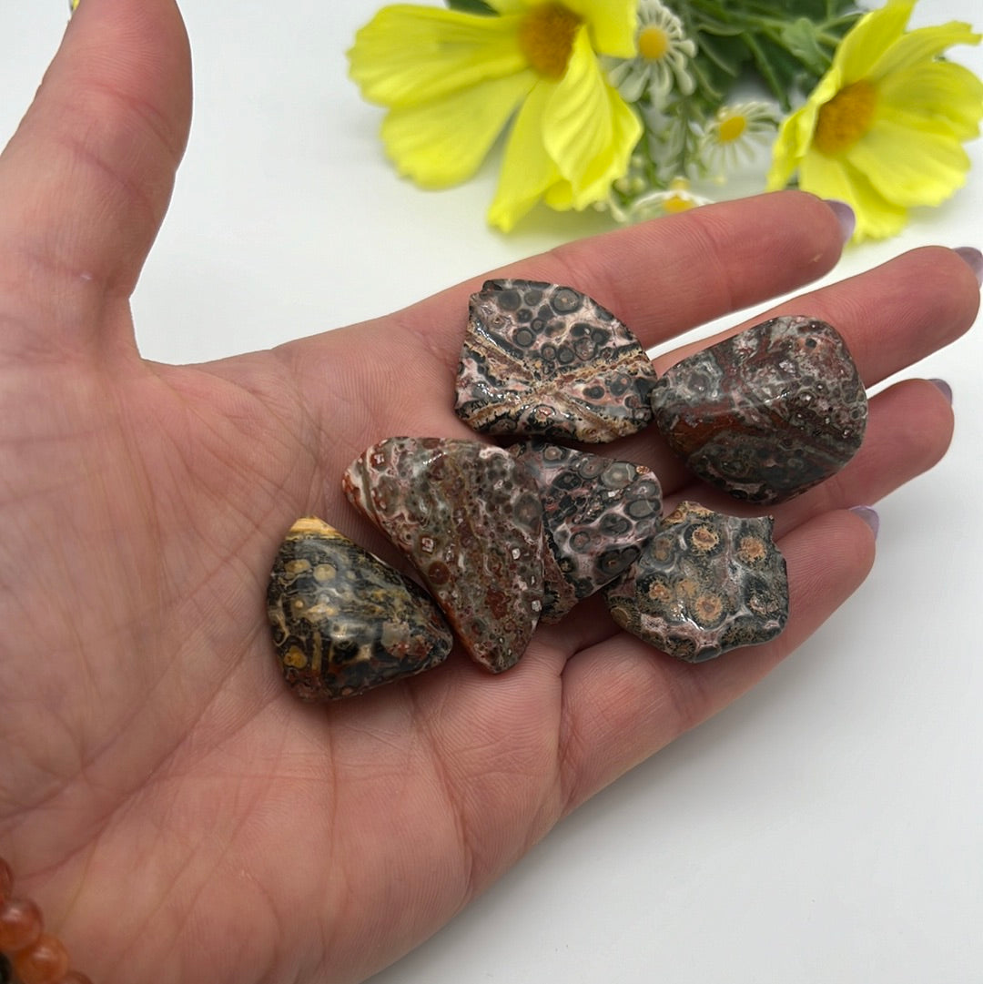 Leopard Skin Jasper polished tumble tumblestone