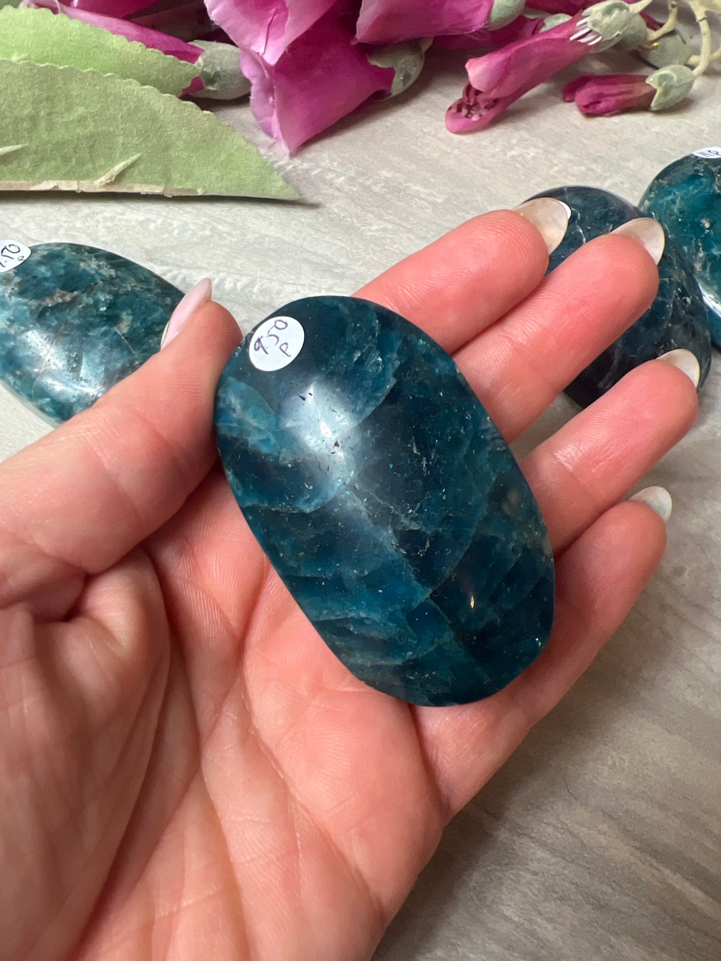 Apatite Palm