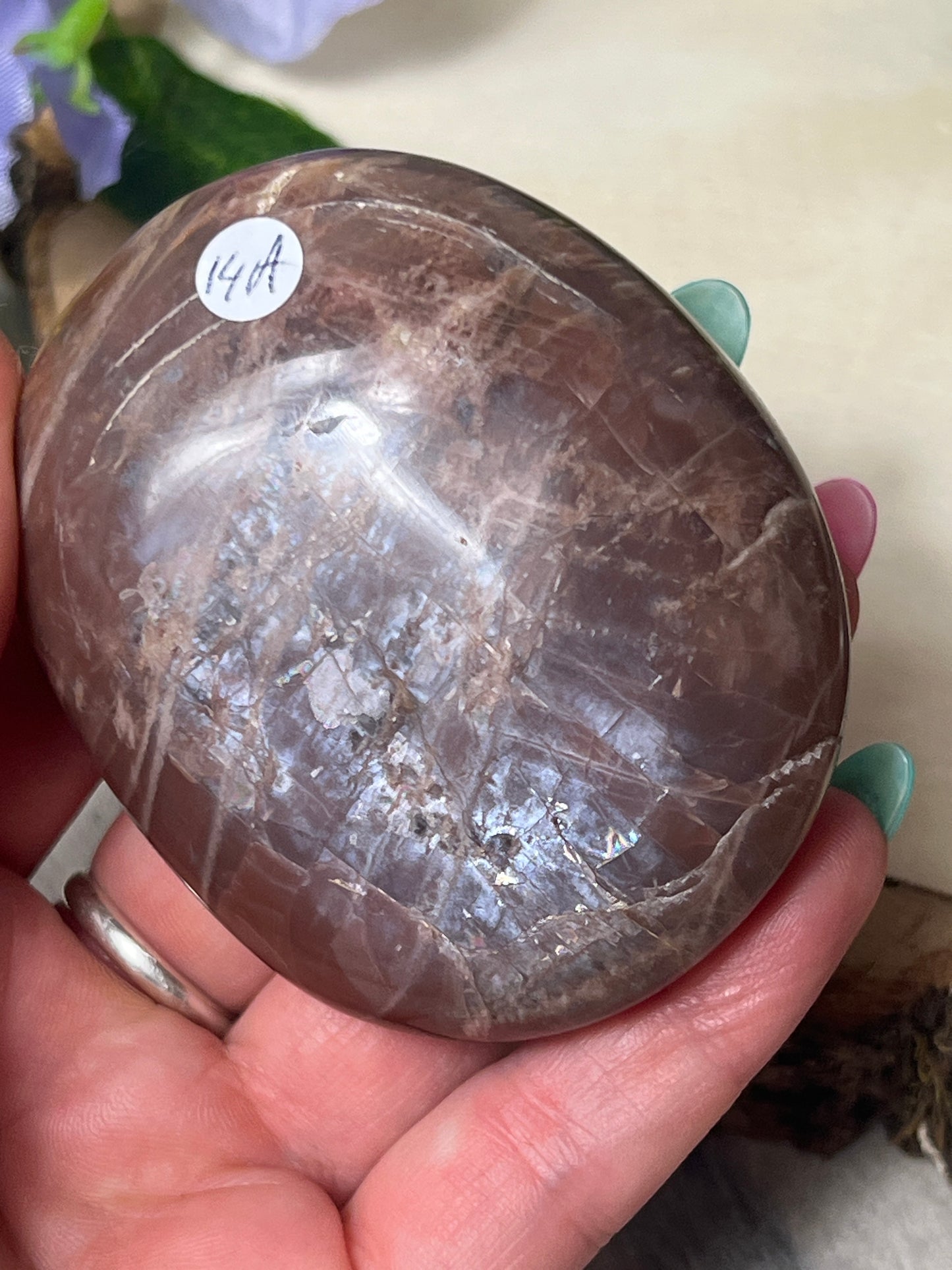 Peach Moonstone XL Palm