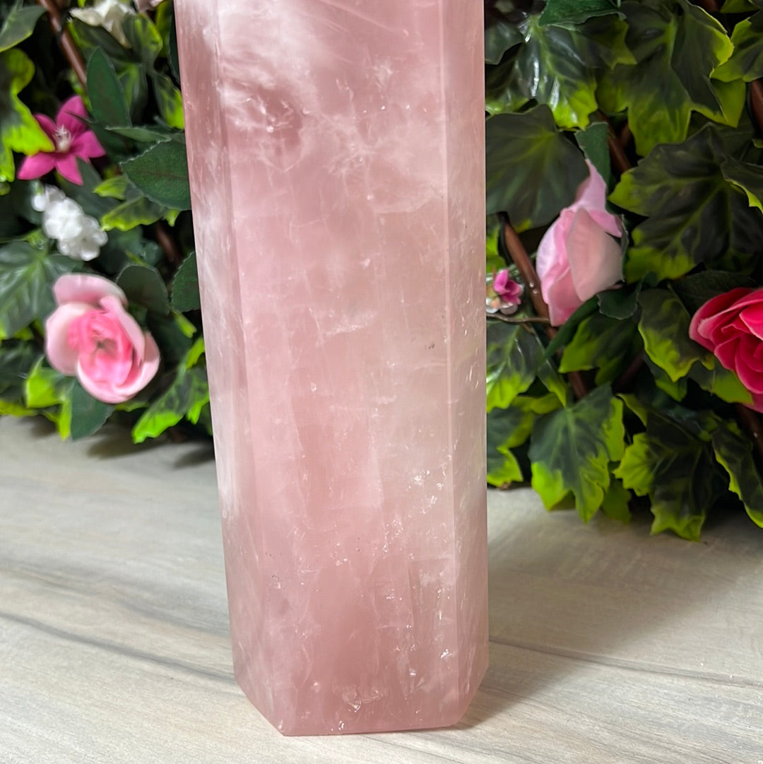 Rose Quartz XL Tower Point 5.6KG