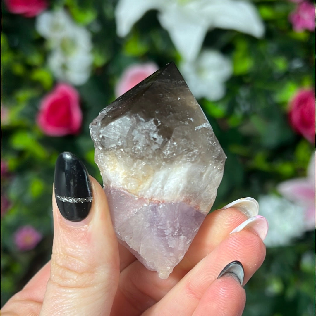 Root of Transformation