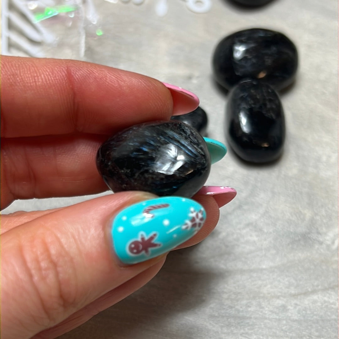 Arfvedsonite with Garnet Polished tumble tumblestone