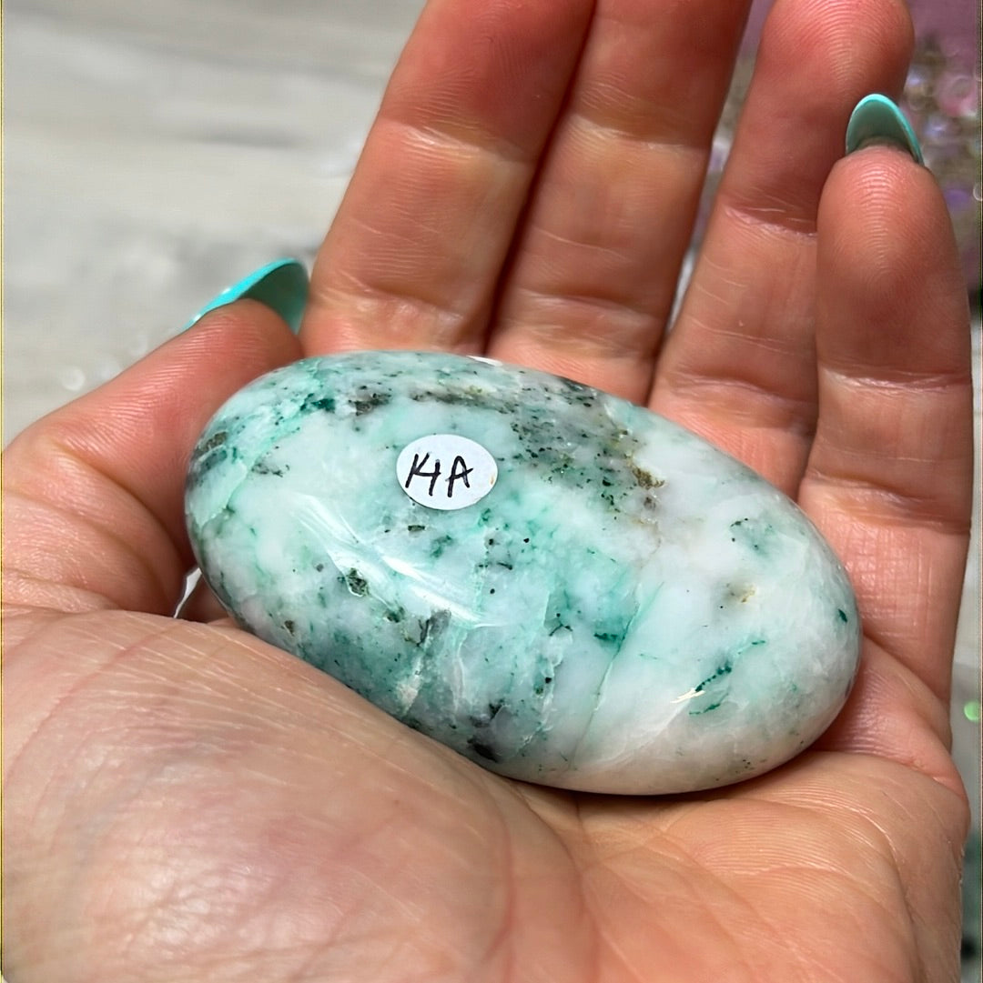 Phoenix Pine Fynechenite Palm