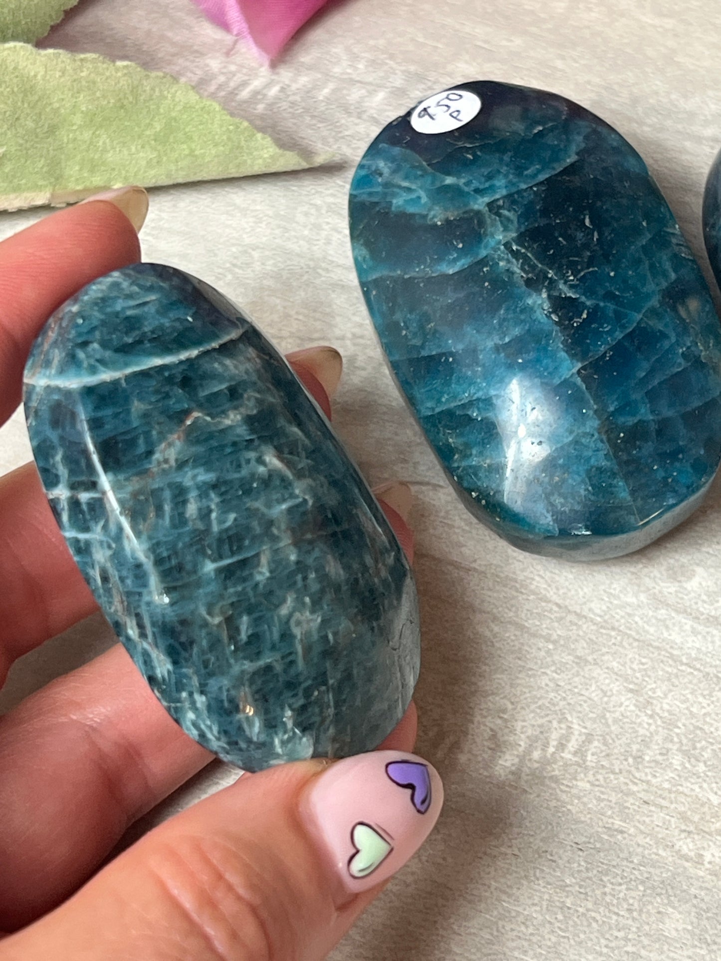 Apatite Palm