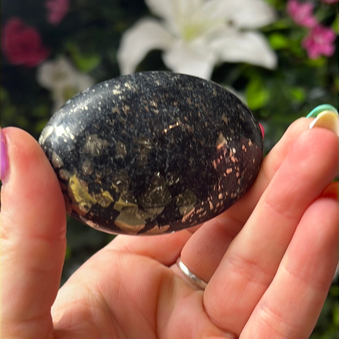 African Pyrite Palm - fools gold
