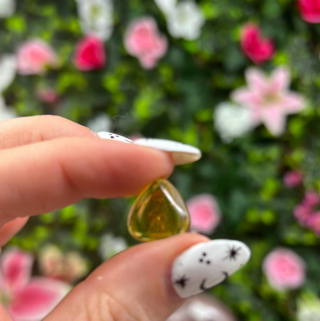 Amber Insect Specimen