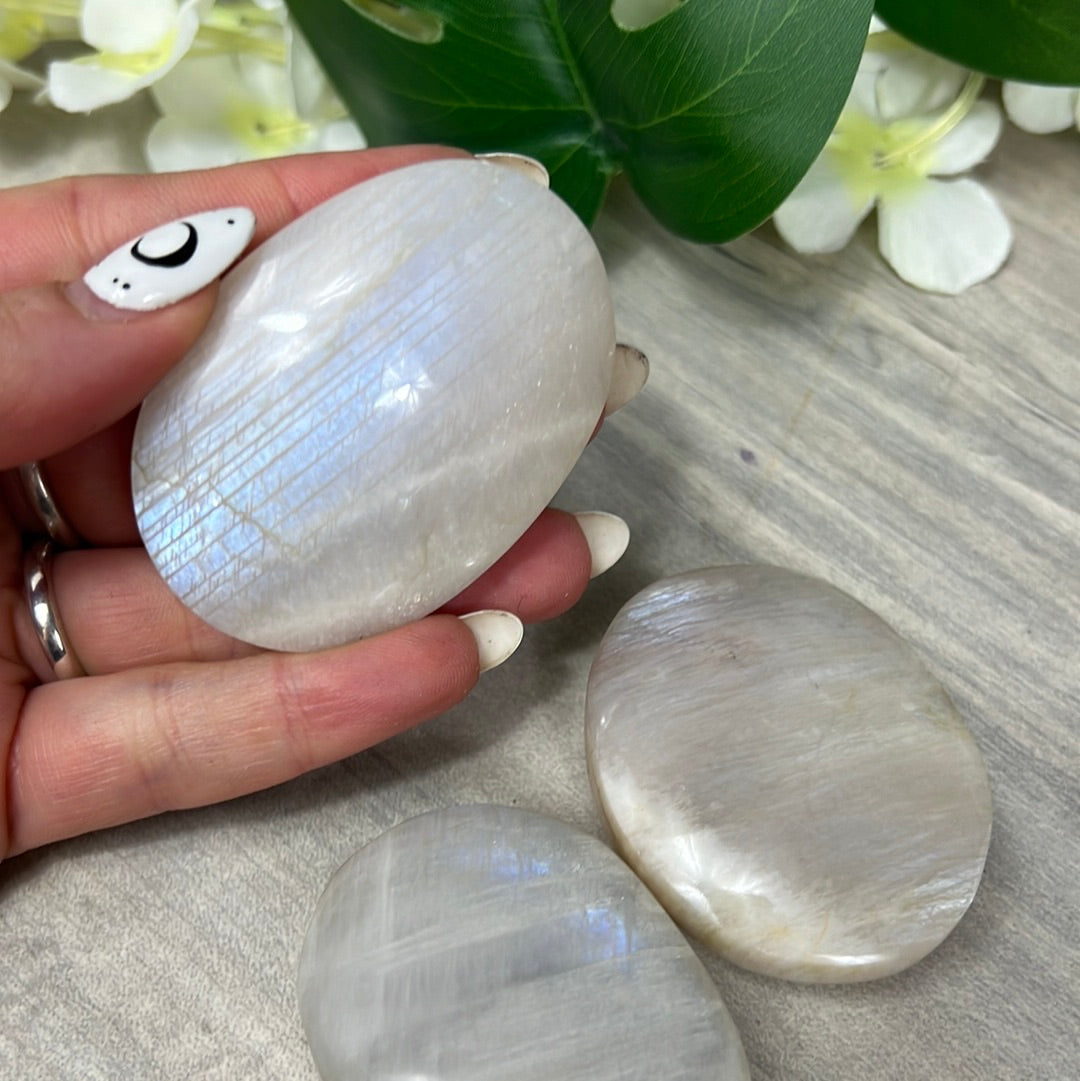 Moonstone Palm - AA Grade