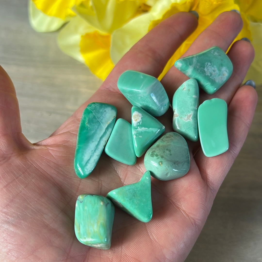 Variscite Tumble Tumblestone