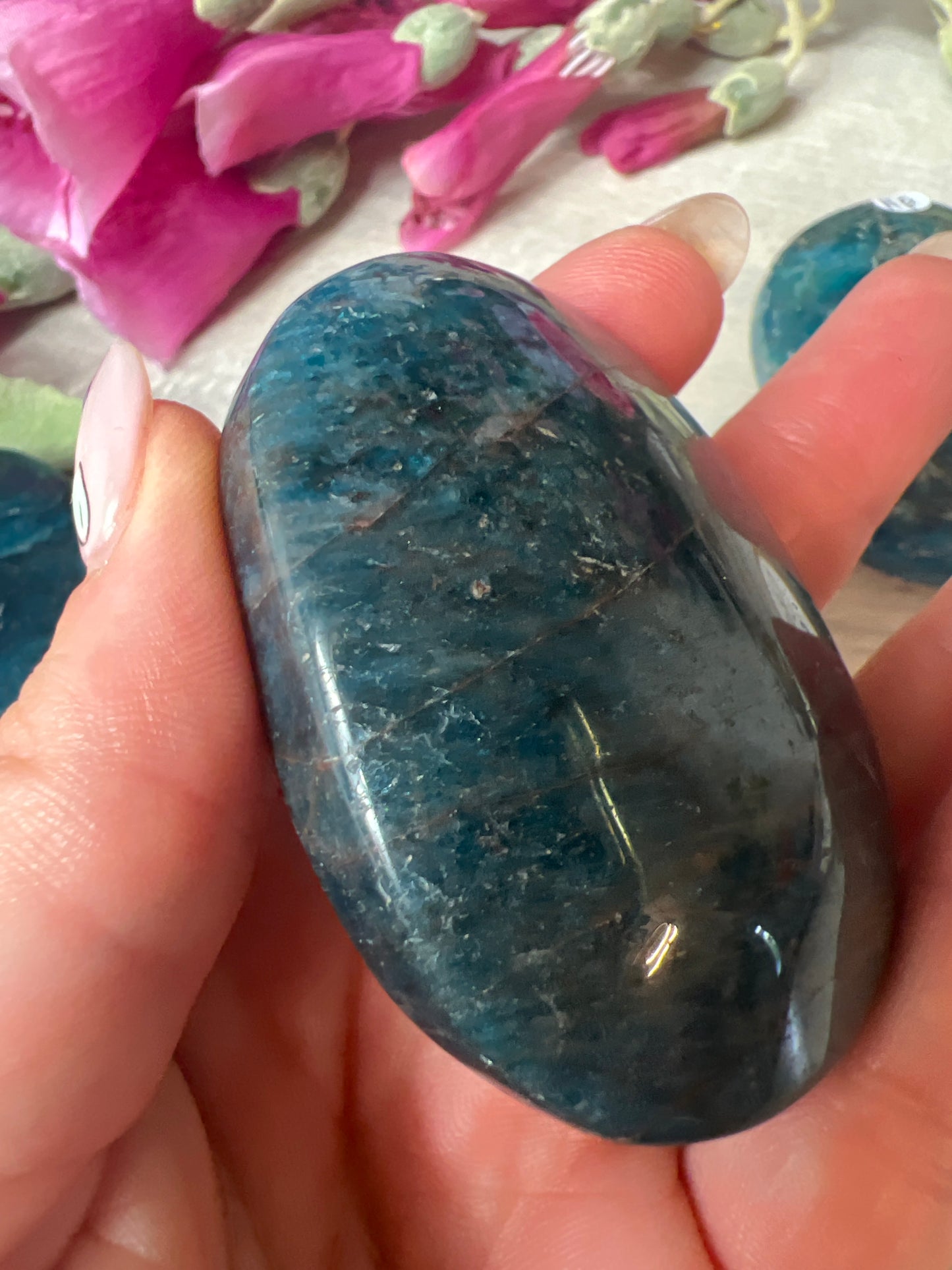 Apatite Palm