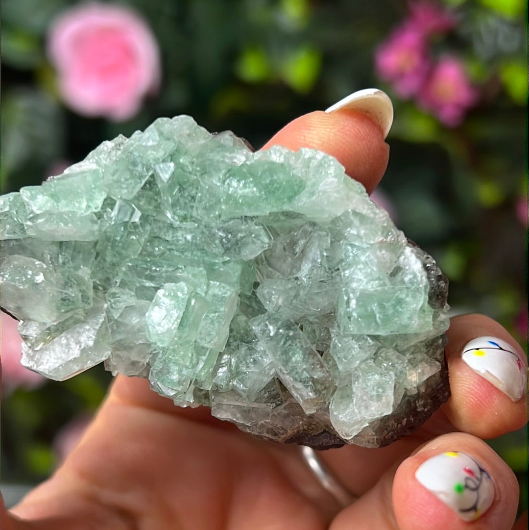 Green Apophyllite Specimen