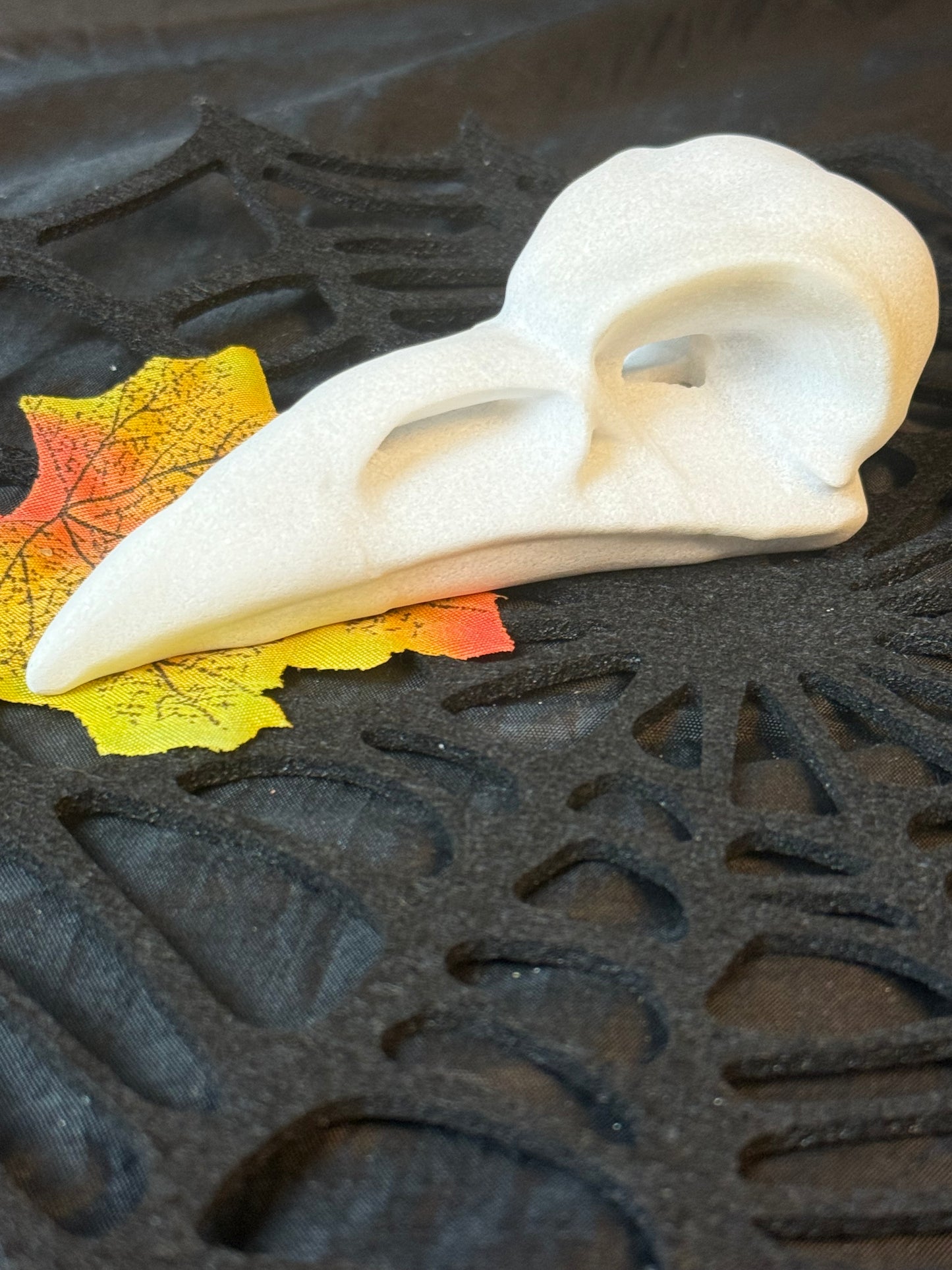 Large Raven Crow Skull