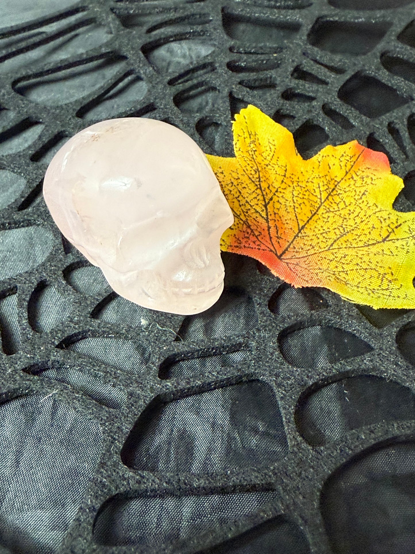 Rose Skull