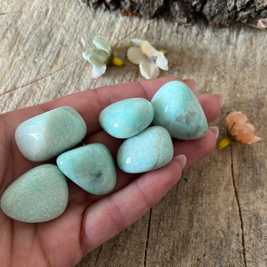 A Amazonite large polished tumble tumblestone