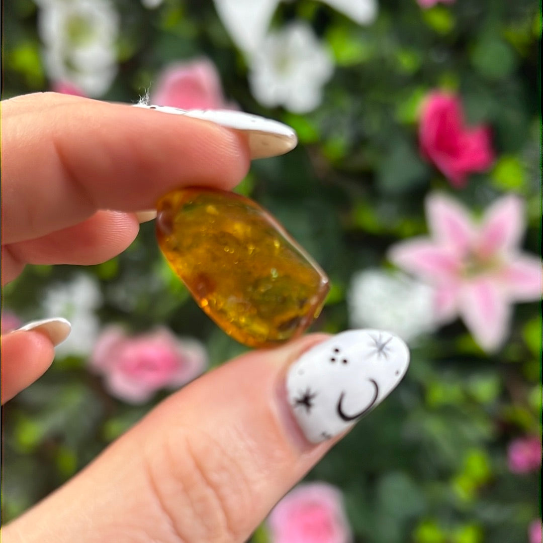 Amber Insect Specimen