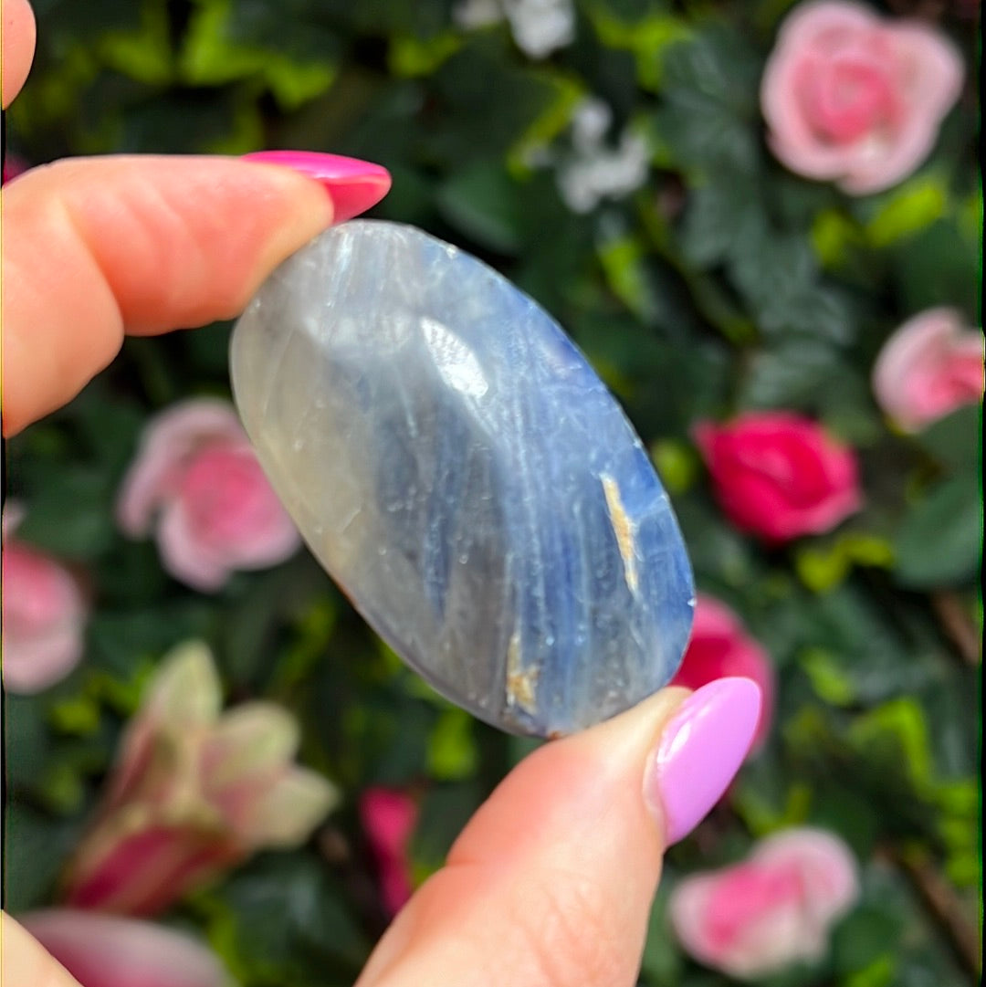 Kyanite in Clear Quartz Palm - rare find