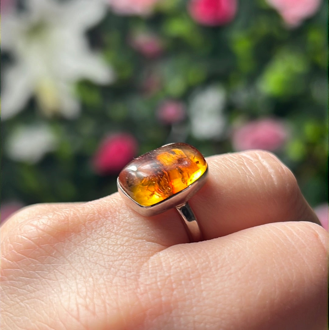 Amber 925 Sterling Silver Ring -  Size O