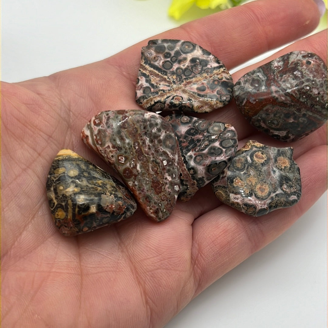 Leopard Skin Jasper polished tumble tumblestone
