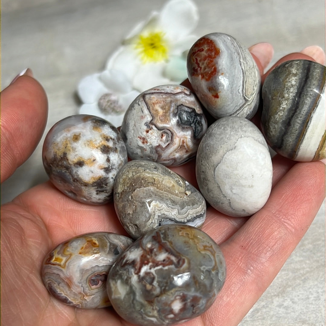 Mexican Agate Small polished tumble tumblestone crazy lace