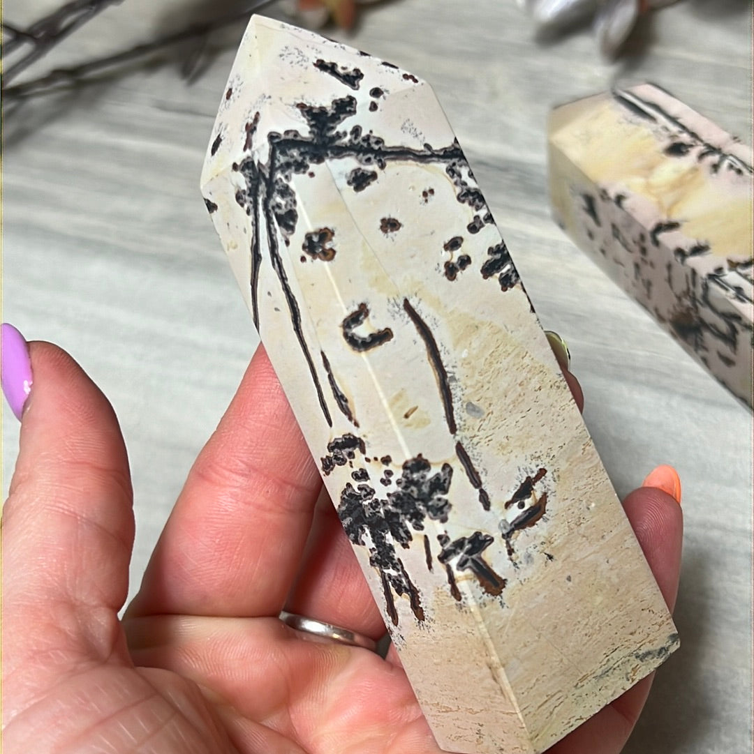Picture Jasper Obelisk Tower Point