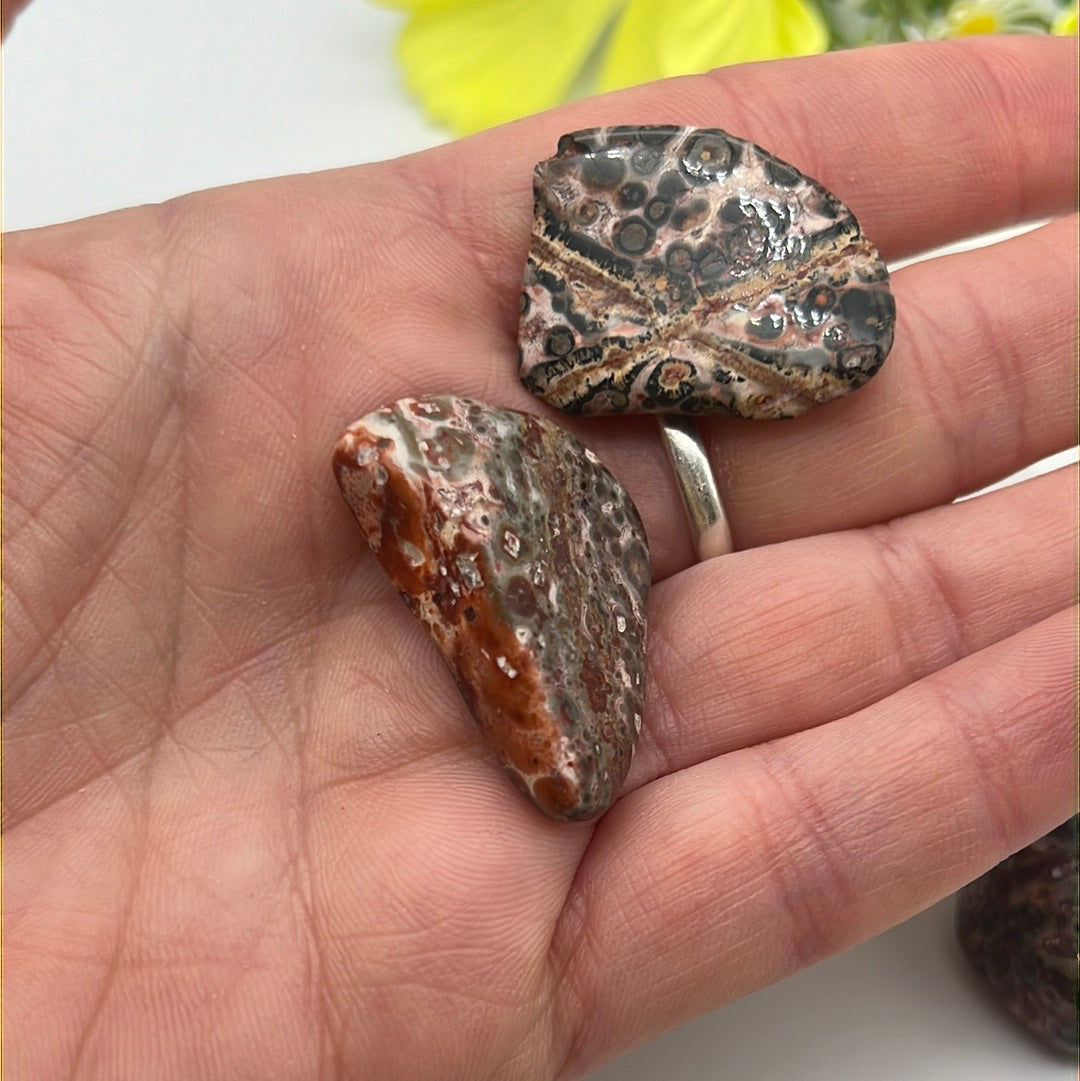 Leopard Skin Jasper polished tumble tumblestone