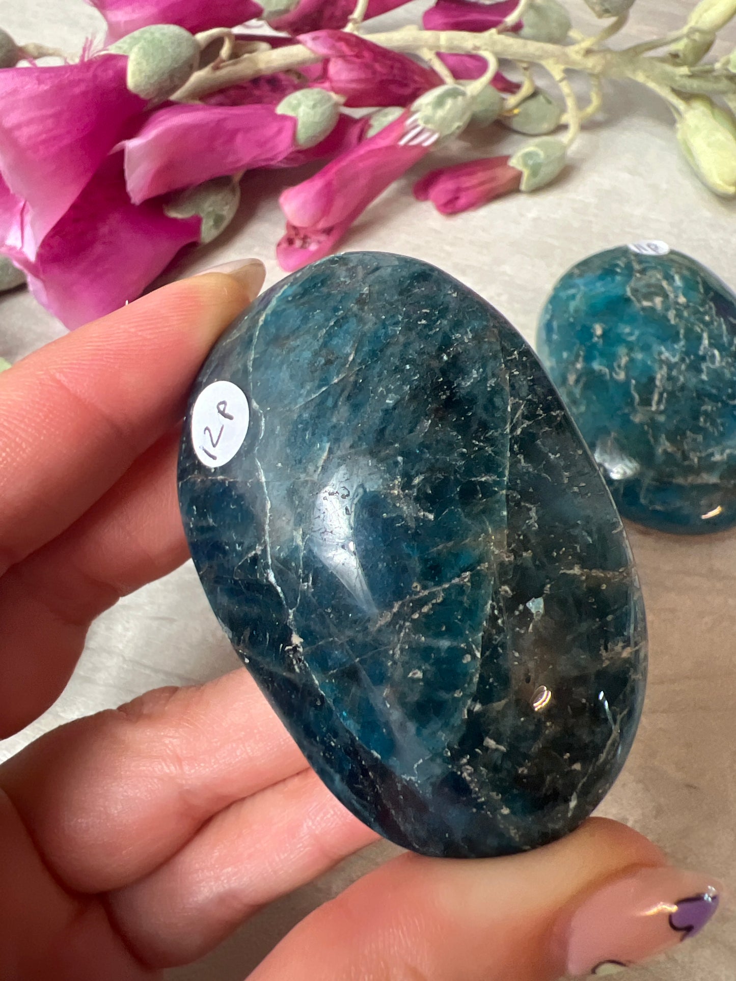 Apatite Palm