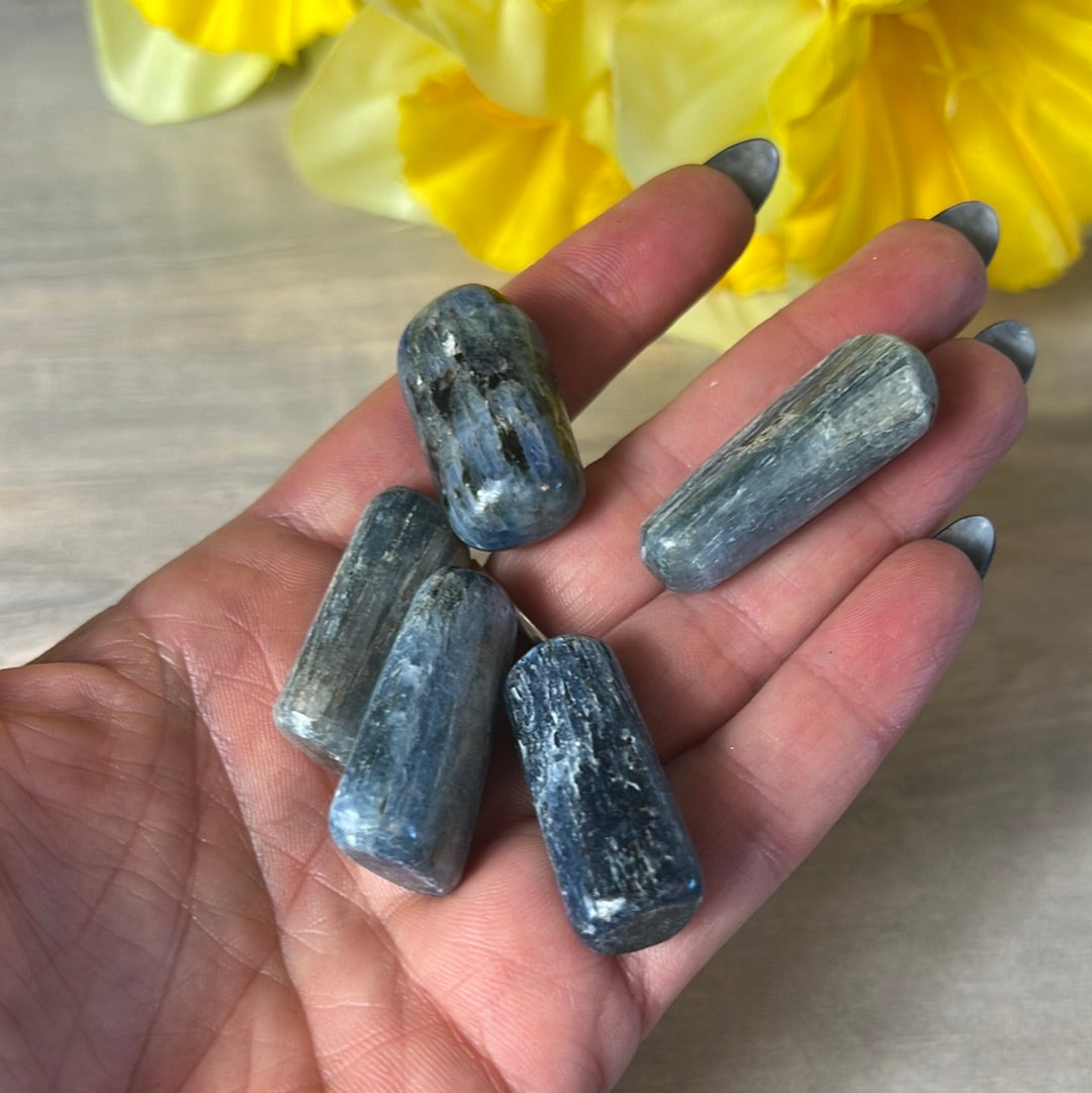 Kyanite Polished Tumble Tumblestone - AA Grade