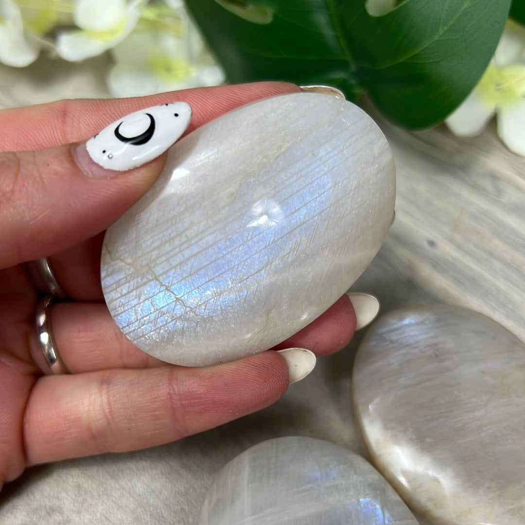 Moonstone Palm - AA Grade