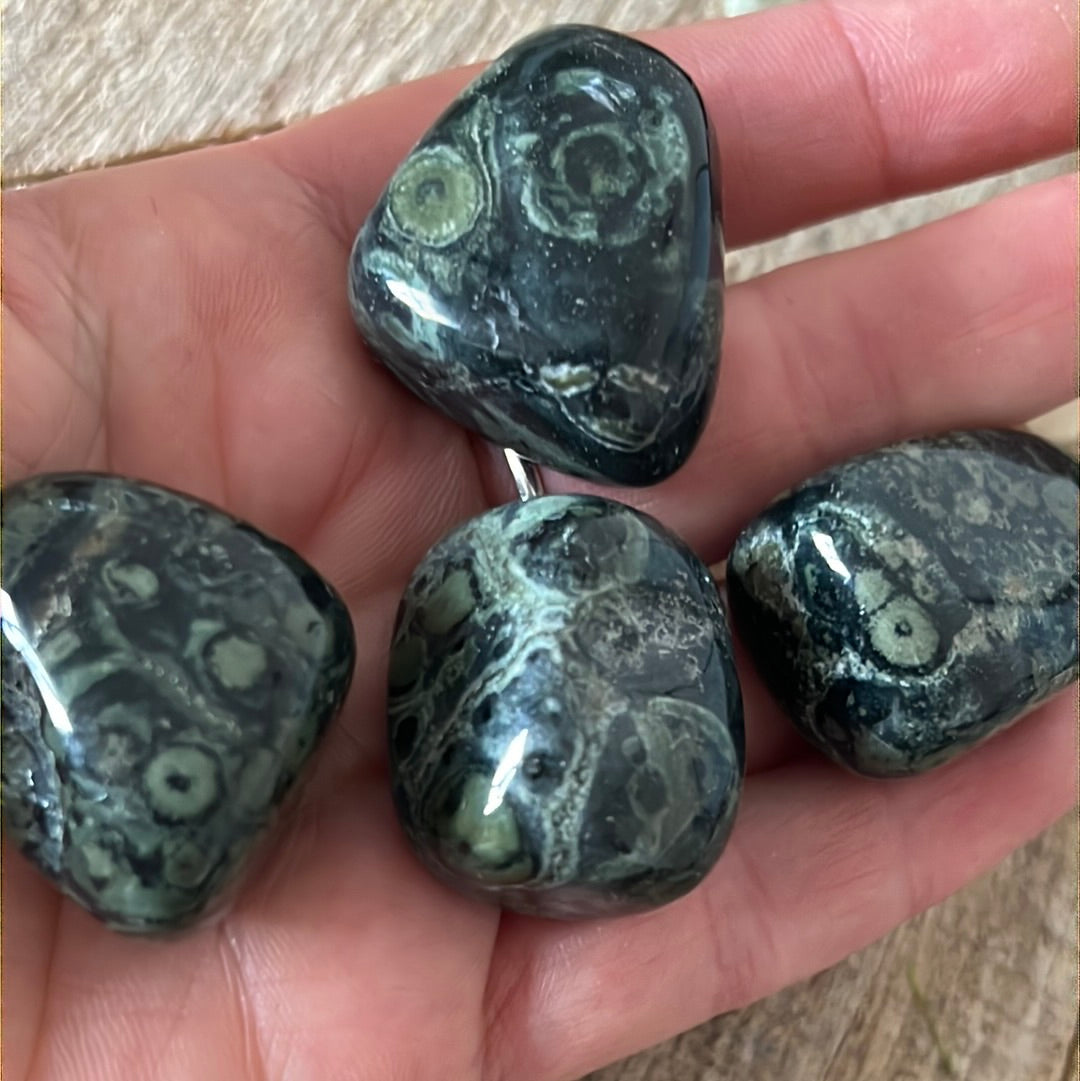 Kambaba Large polished tumble tumblestone