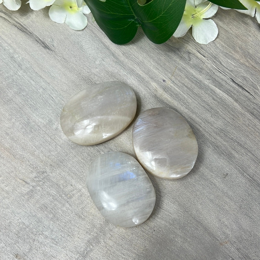Moonstone Palm - AA Grade