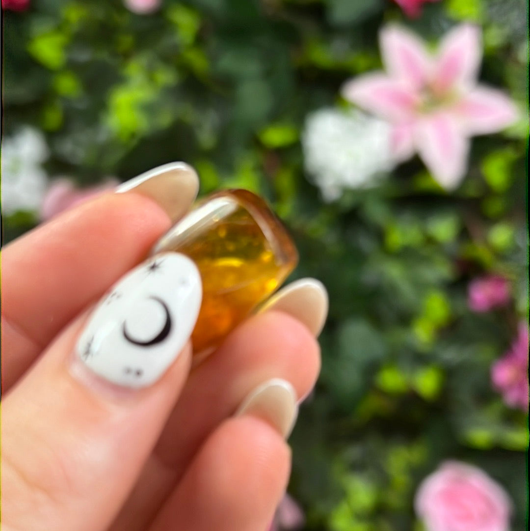 Amber Insect Specimen