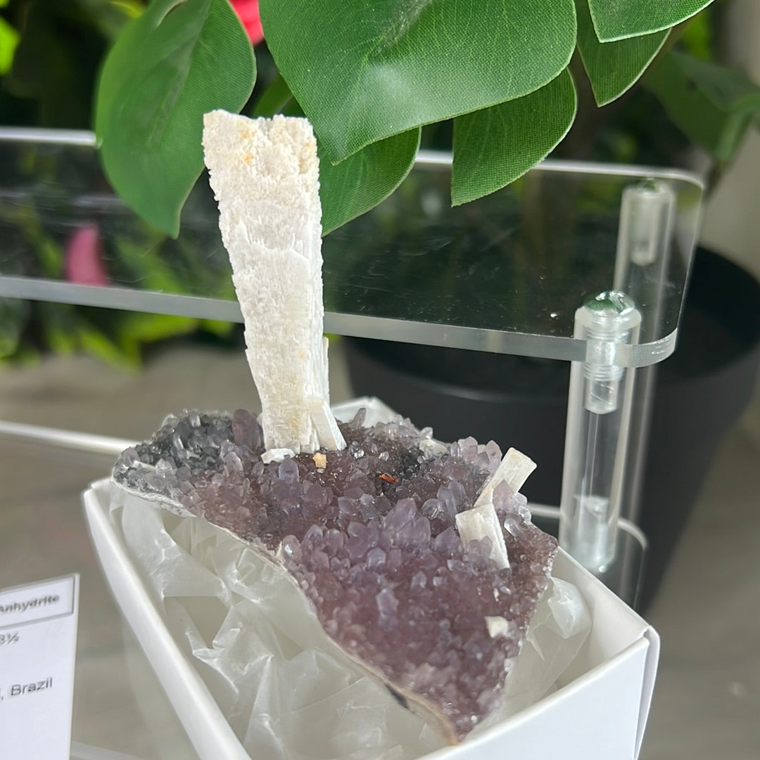 Quartz Pseudo after Anhydrite - Raw Specimen