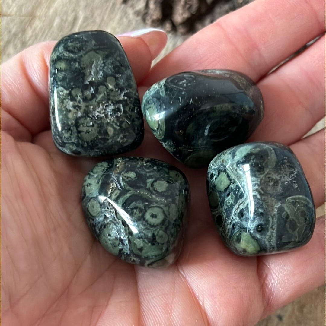 Kambaba Large polished tumble tumblestone