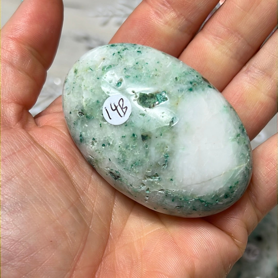 Phoenix Pine Fynechenite Palm