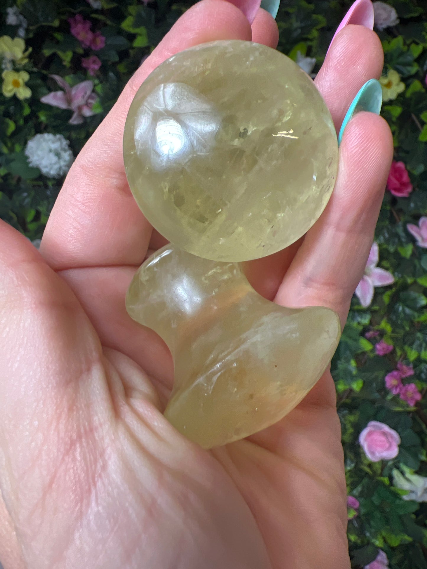 Massage Button  - Mushroom Gua Sha